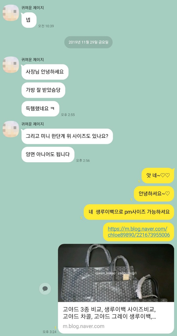 고야드가방