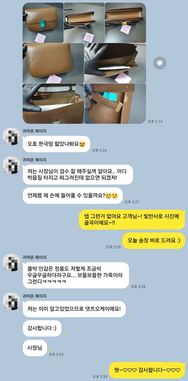 셀린느가방