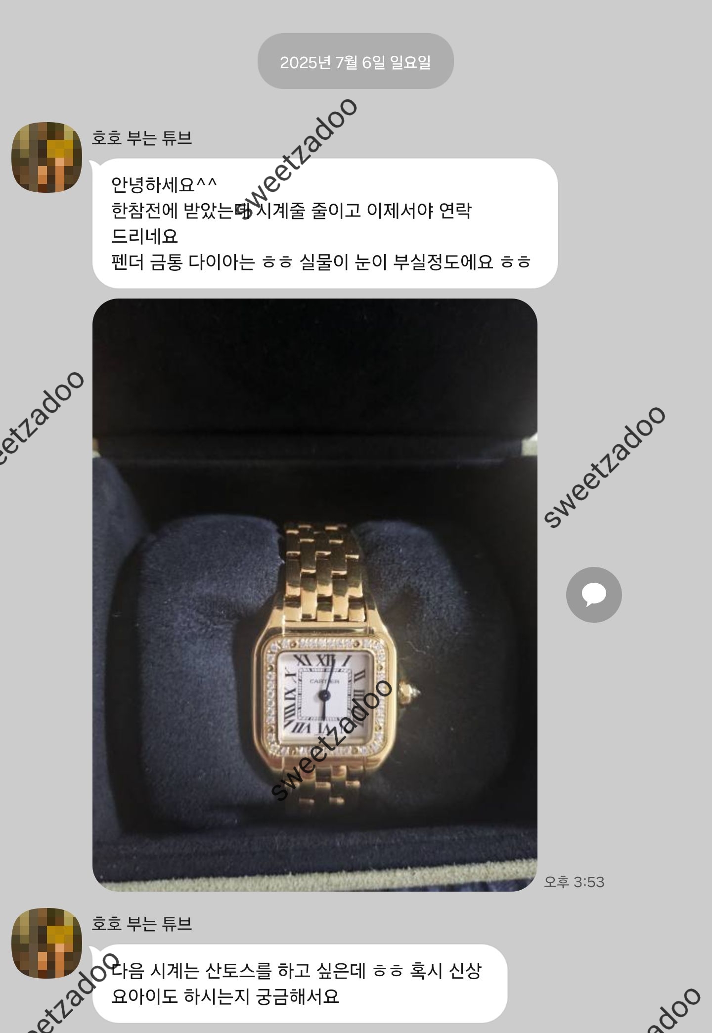까르띠에 팬더