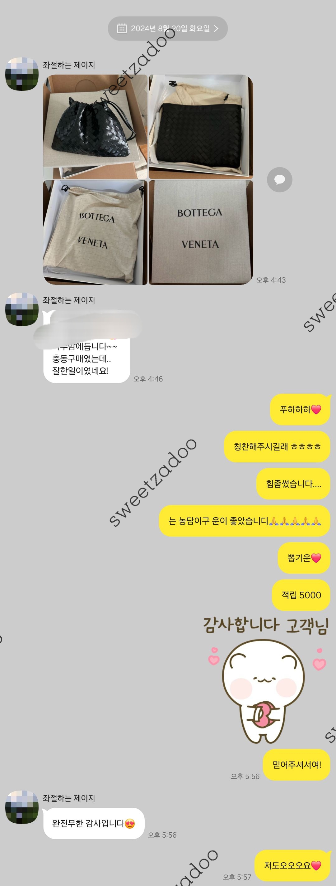 보테가베네타가방