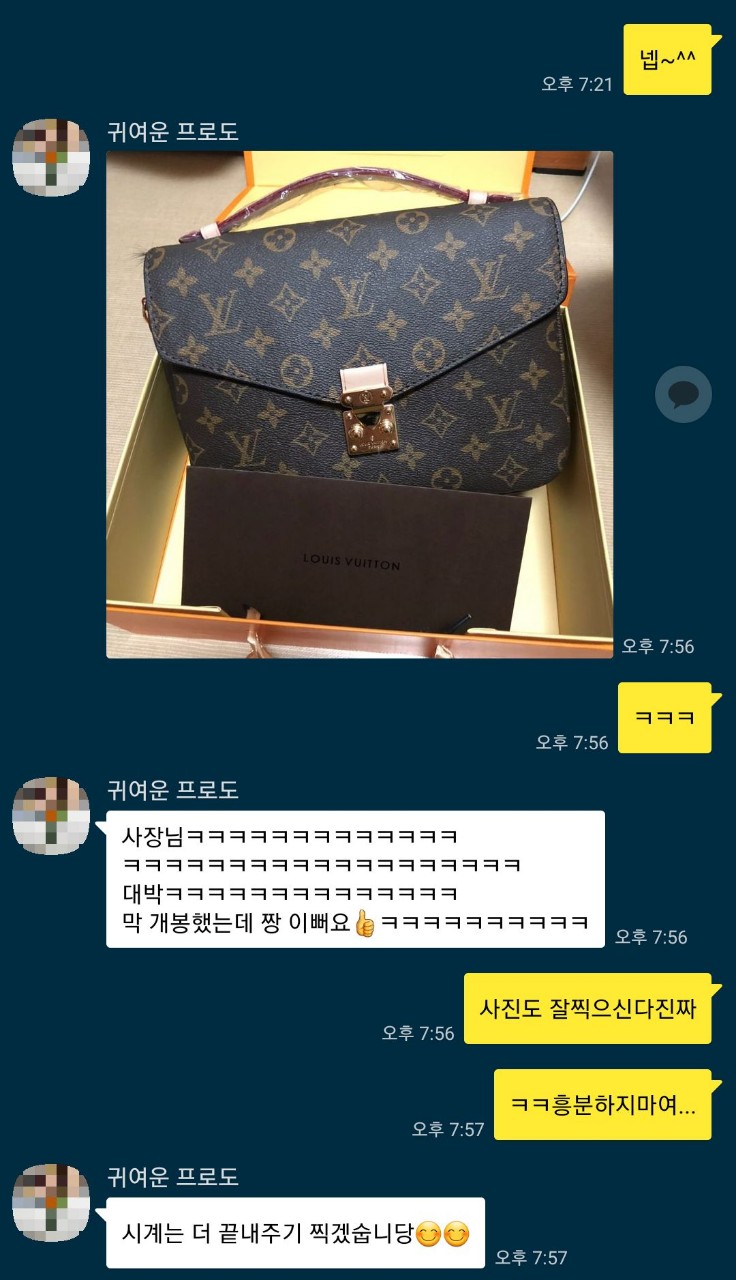 루이비통  포쉐트 메티스