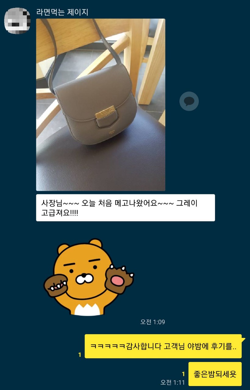 셀린느  트로터 백