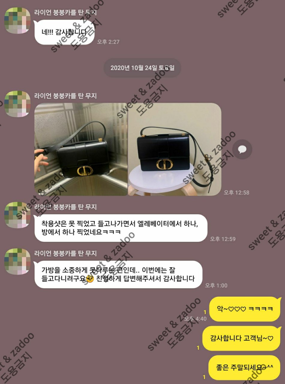 디올가방