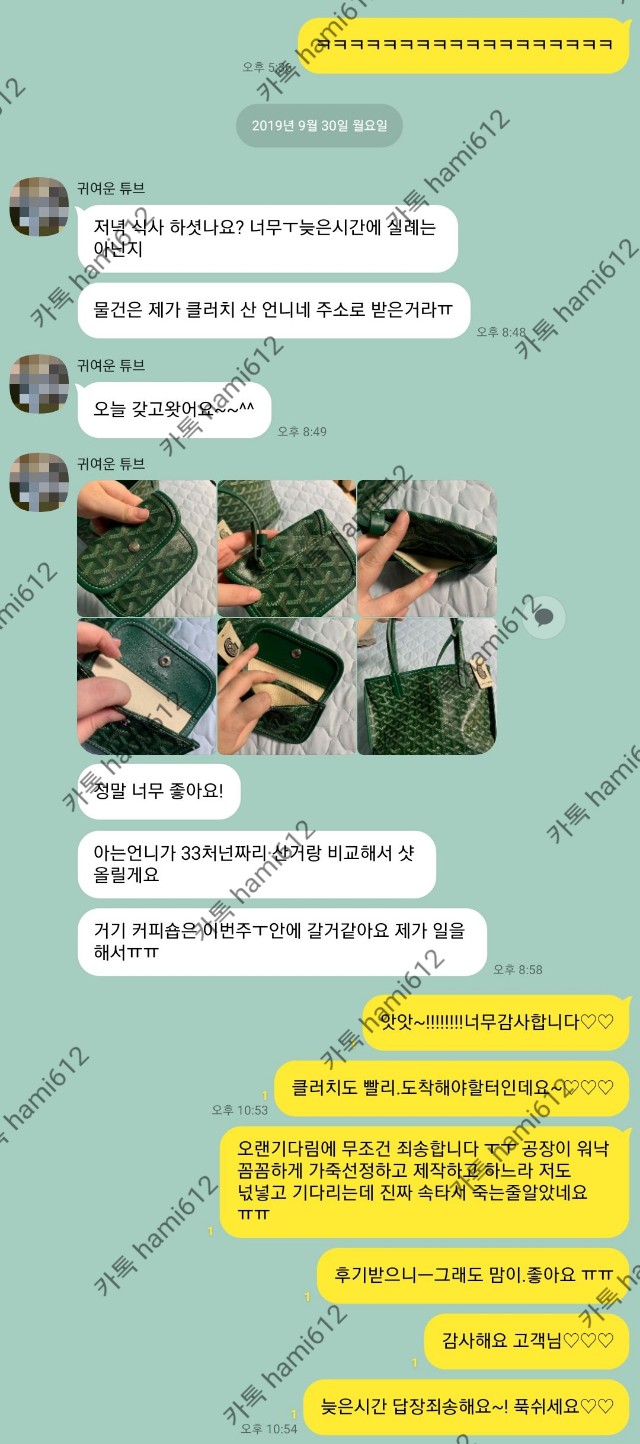 고야드 가방