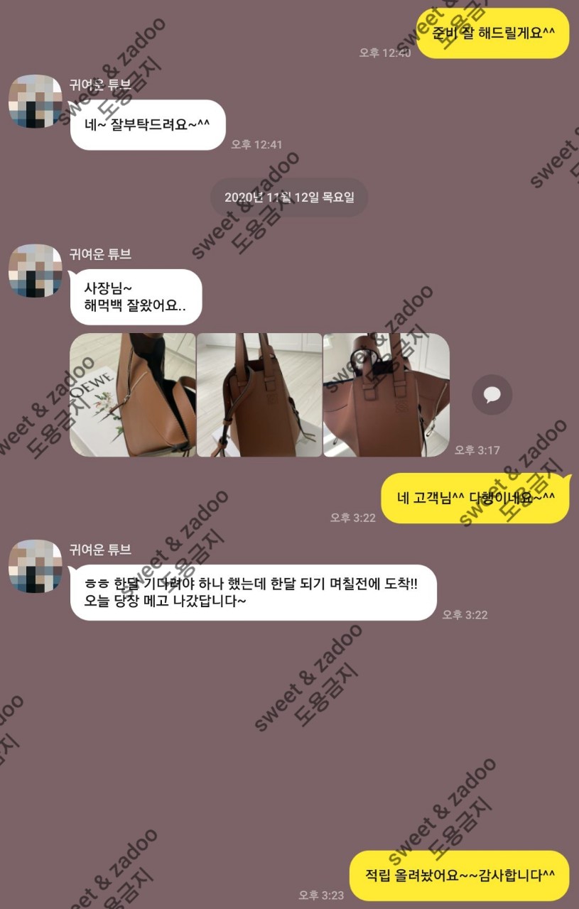 로에베가방