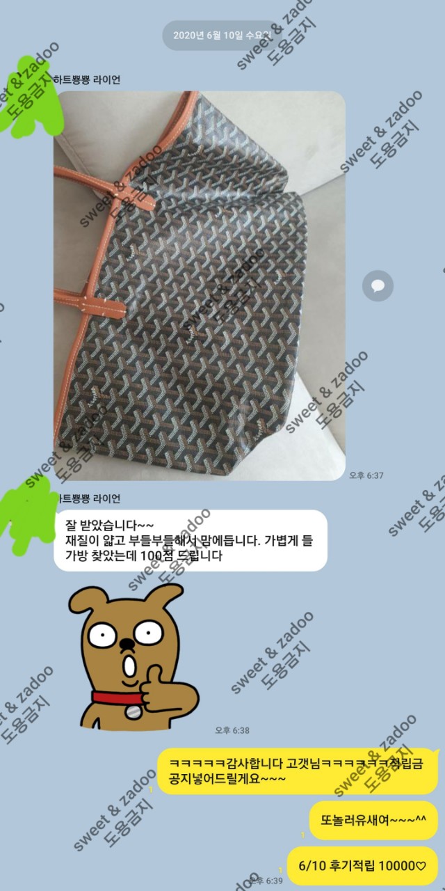 고야드가방