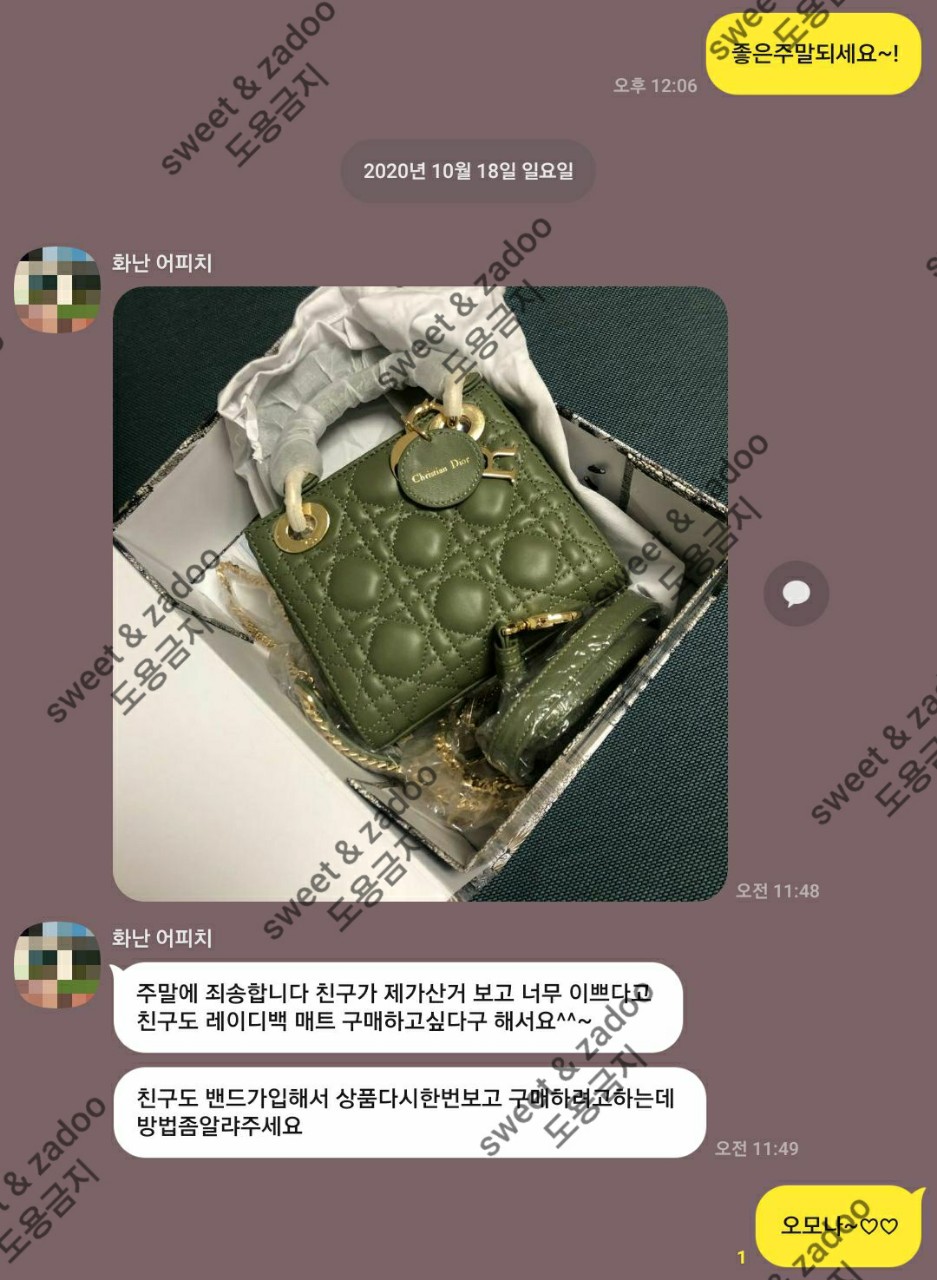 디올가방
