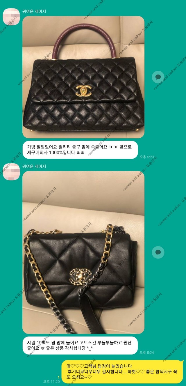 샤넬 코코핸들, 샤넬 19