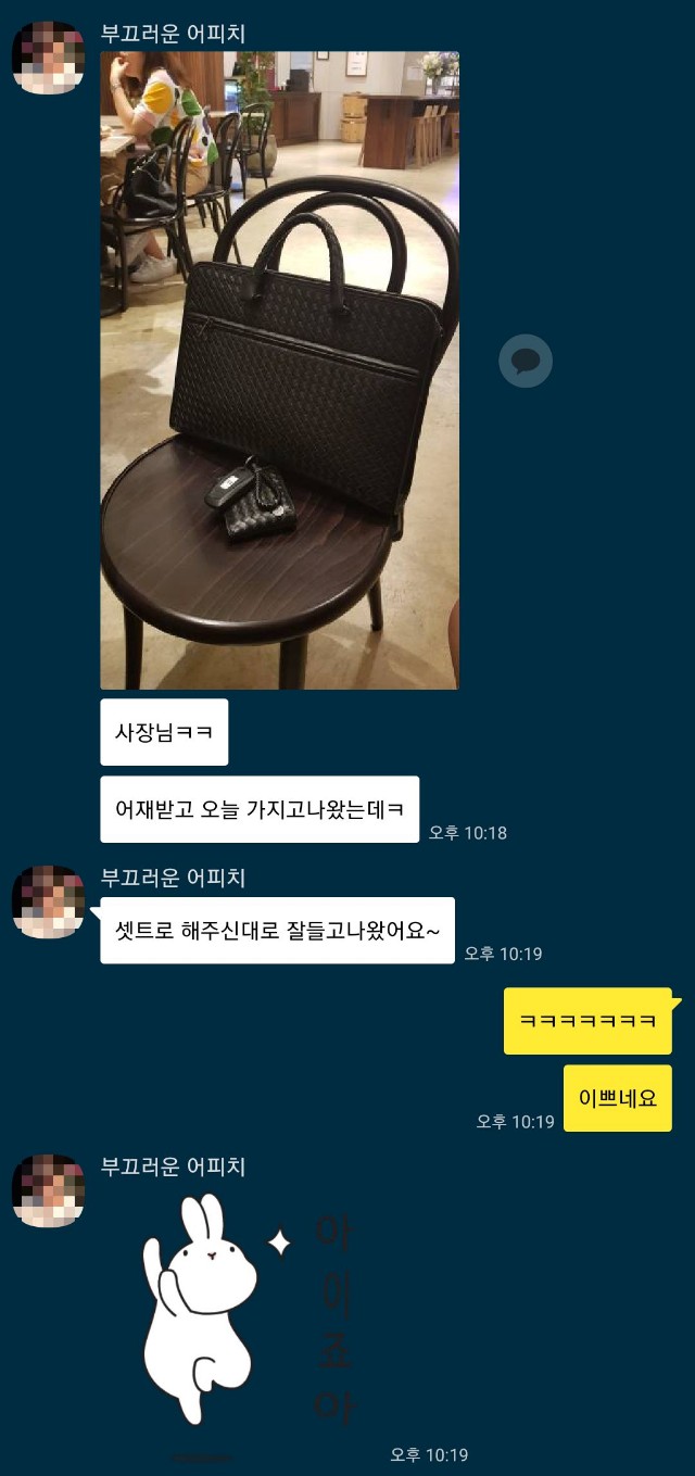 보테가베네타 서류가방