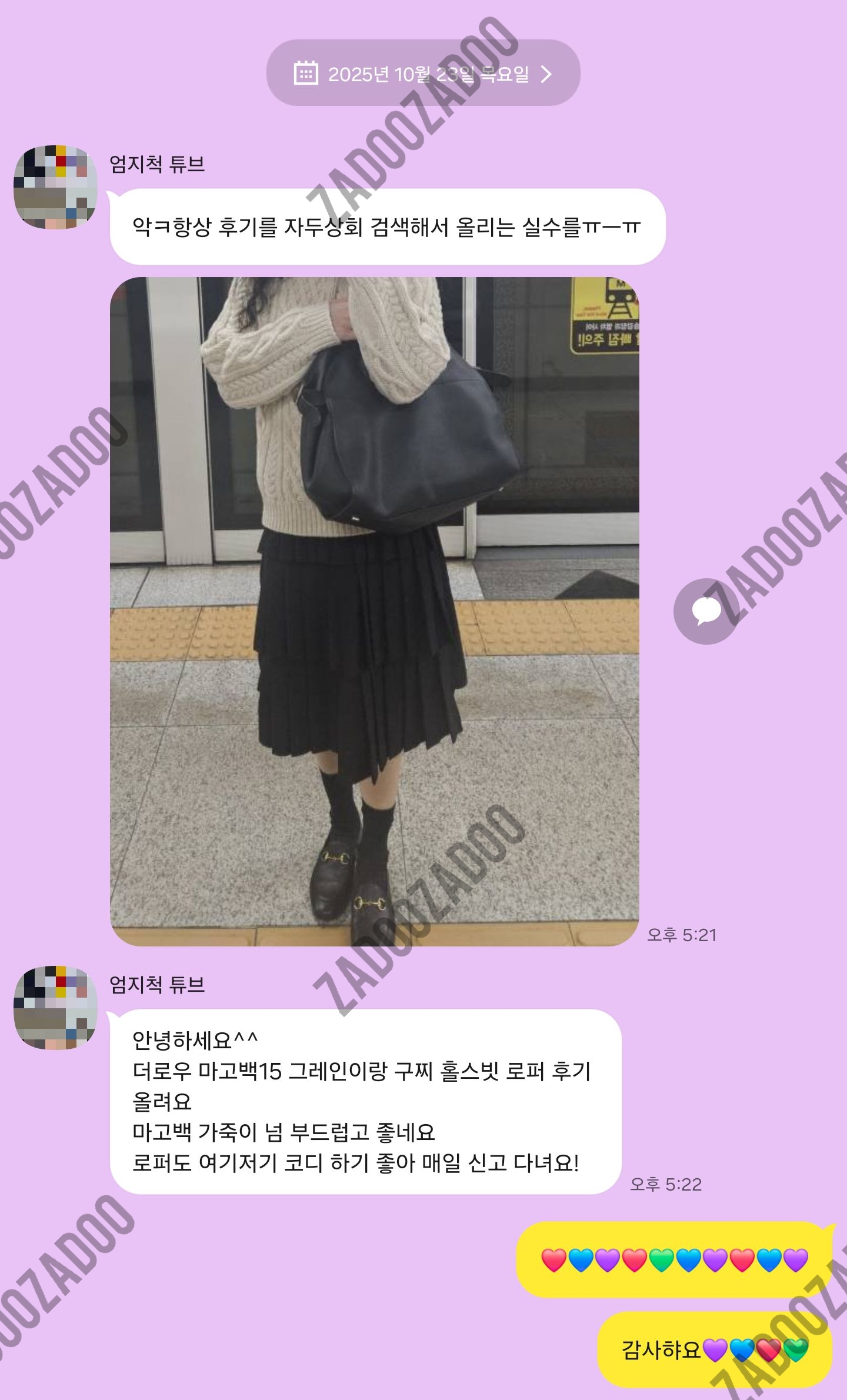 더로우 마고백, 구찌 홀스빗 로퍼 