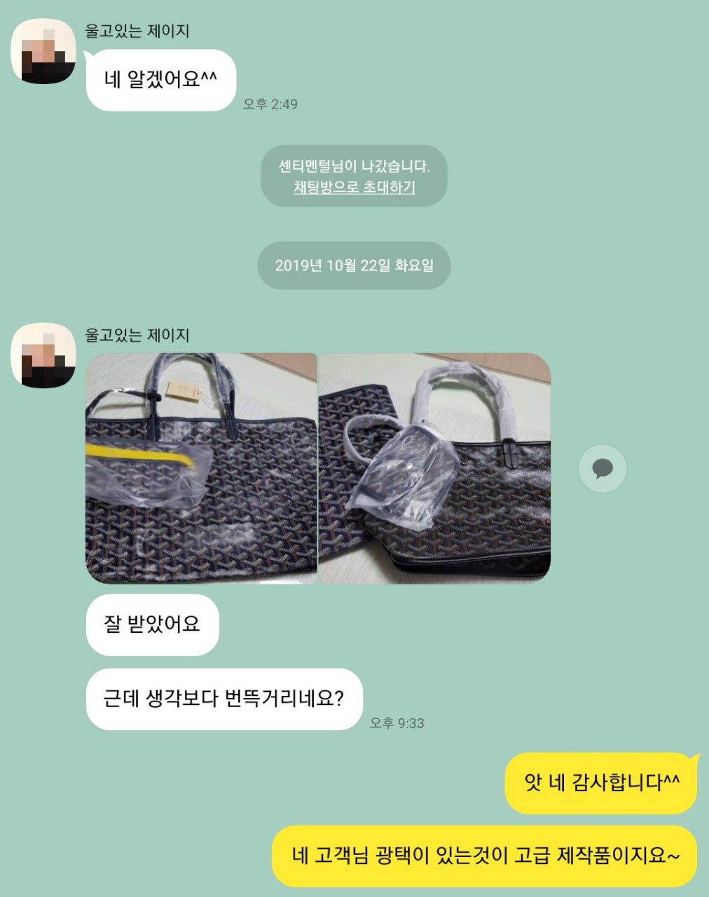 고야드가방