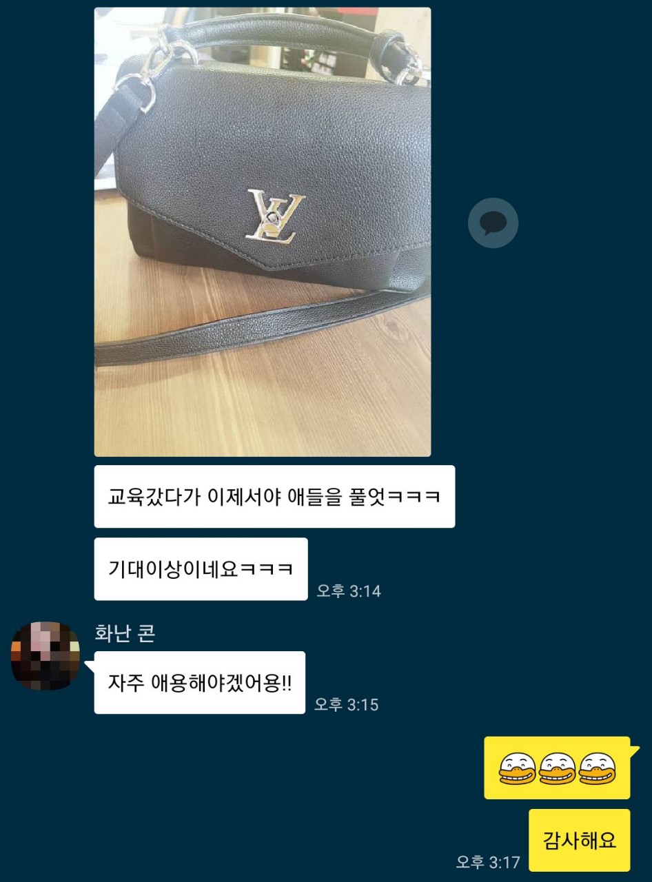 루이비통 트위스트