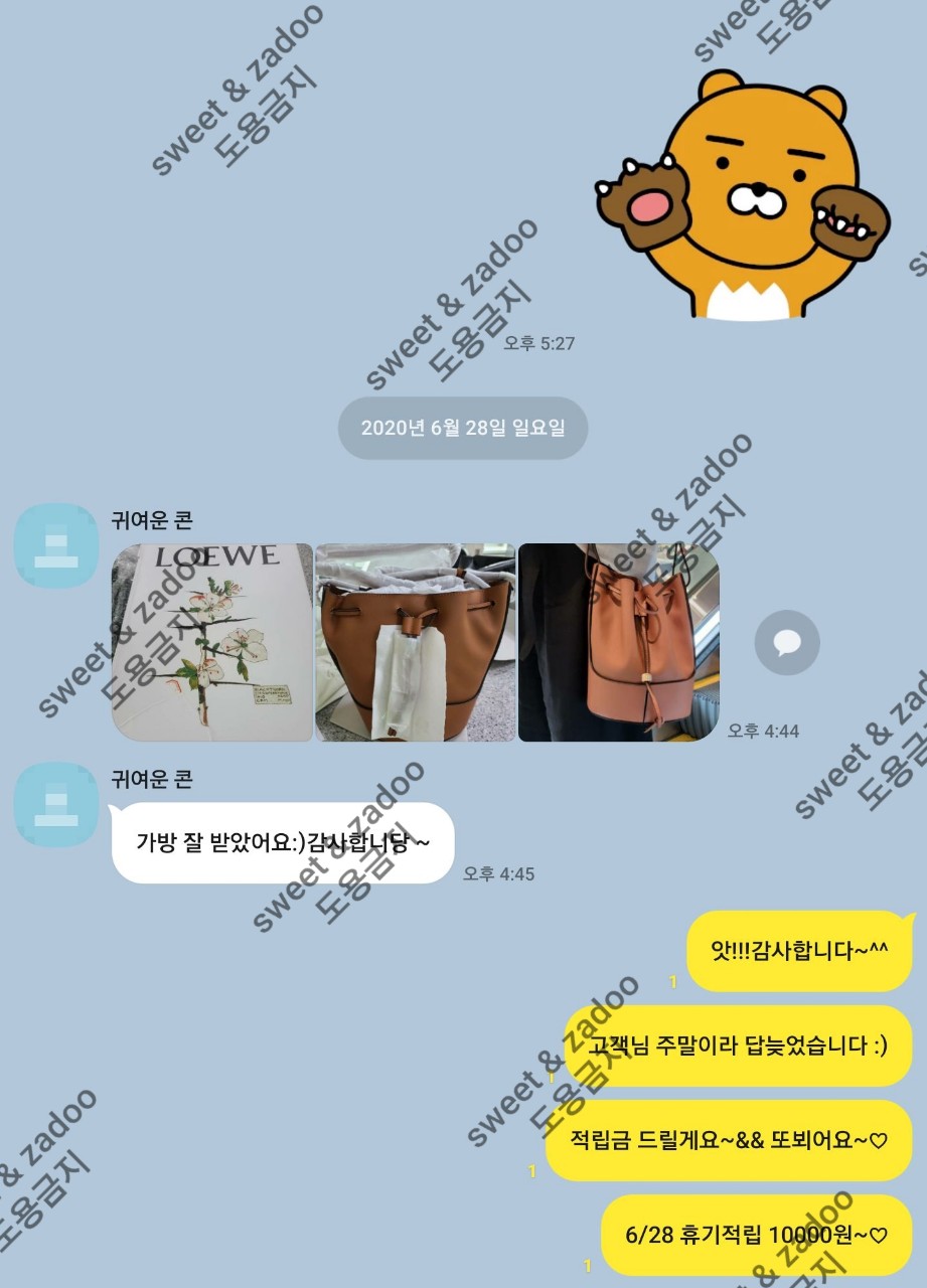 로에베가방
