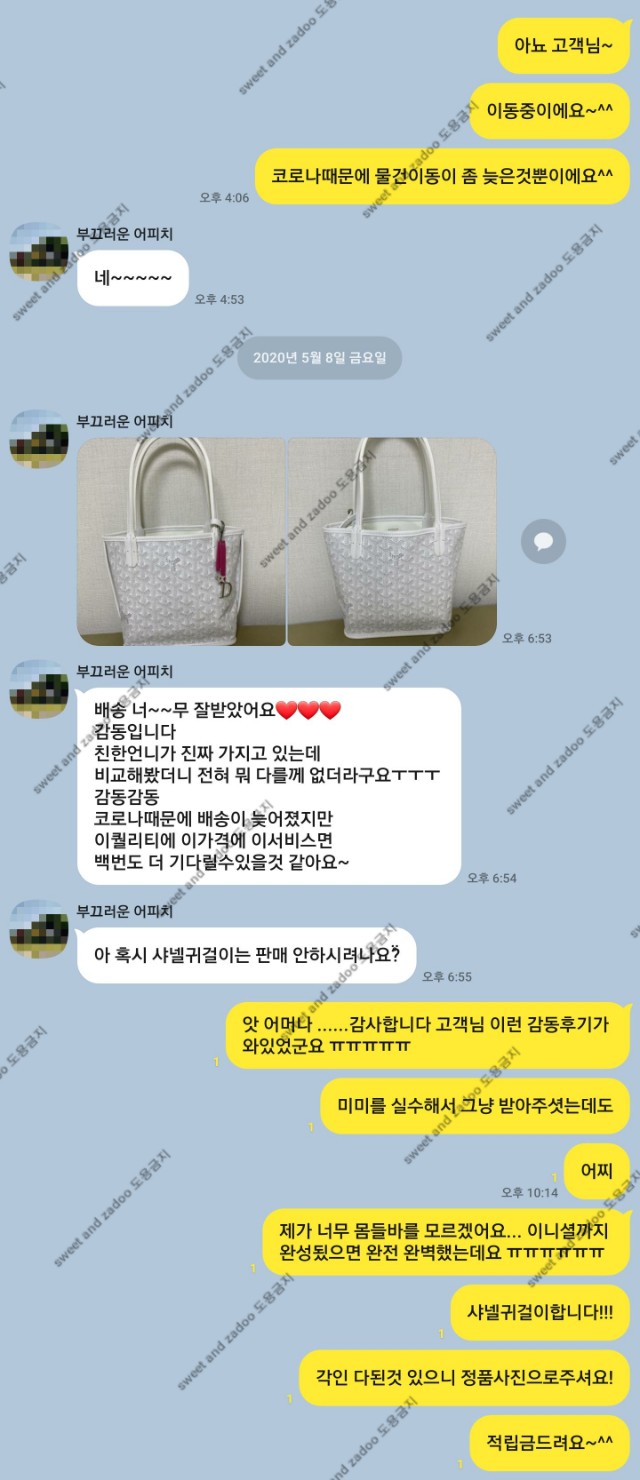 고야드가방