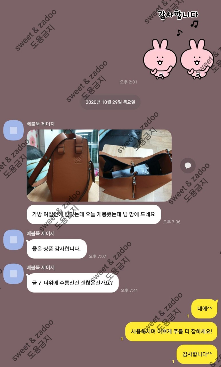 로에베가방