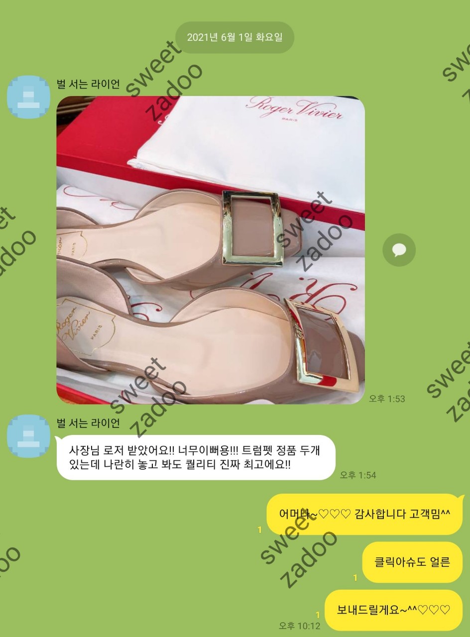 로저비비에신발