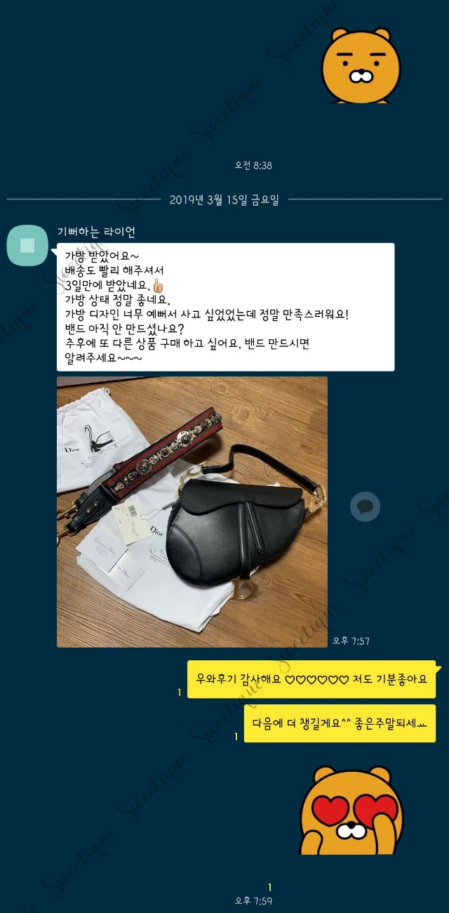 디올 새들백