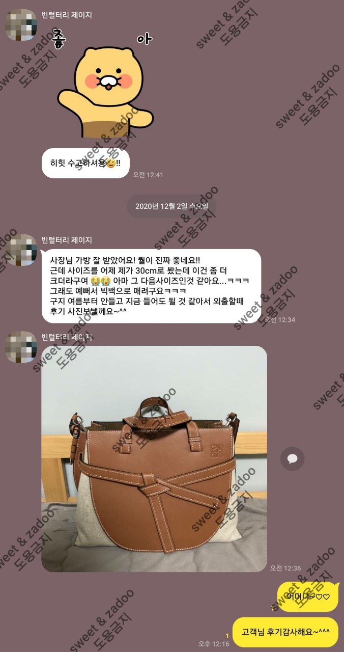 로에베가방