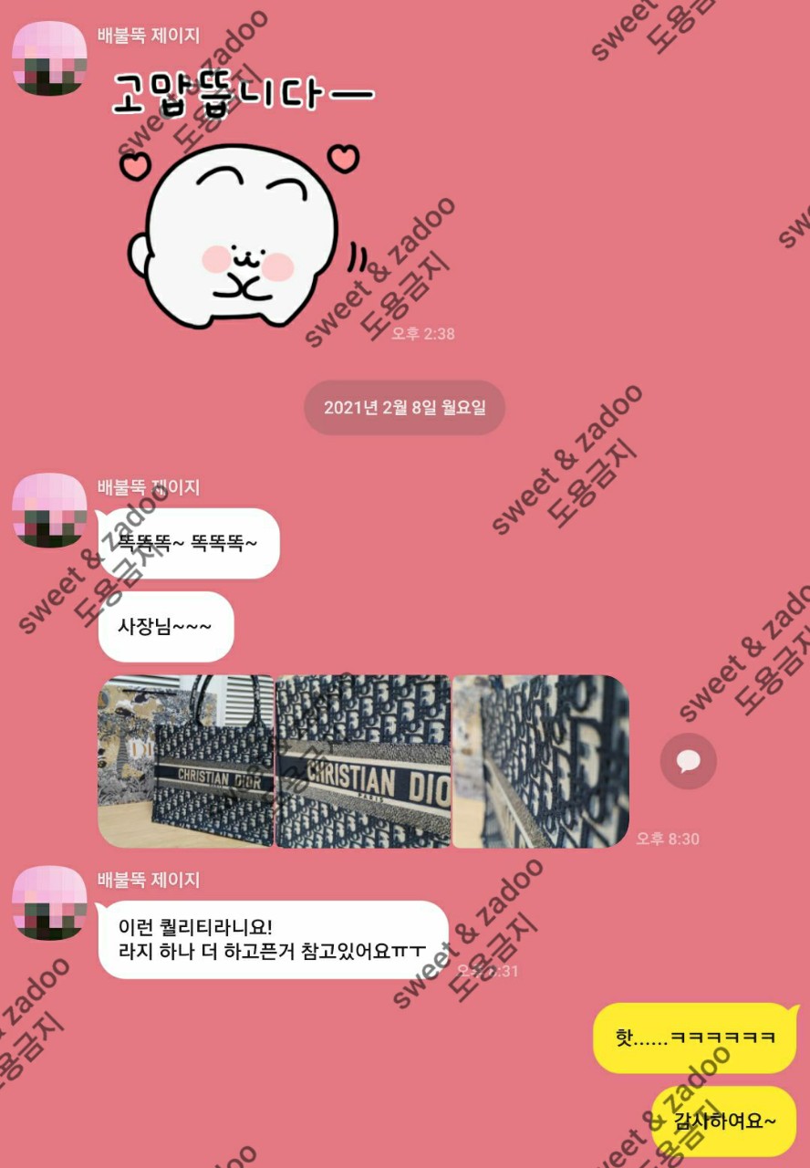 디올가방