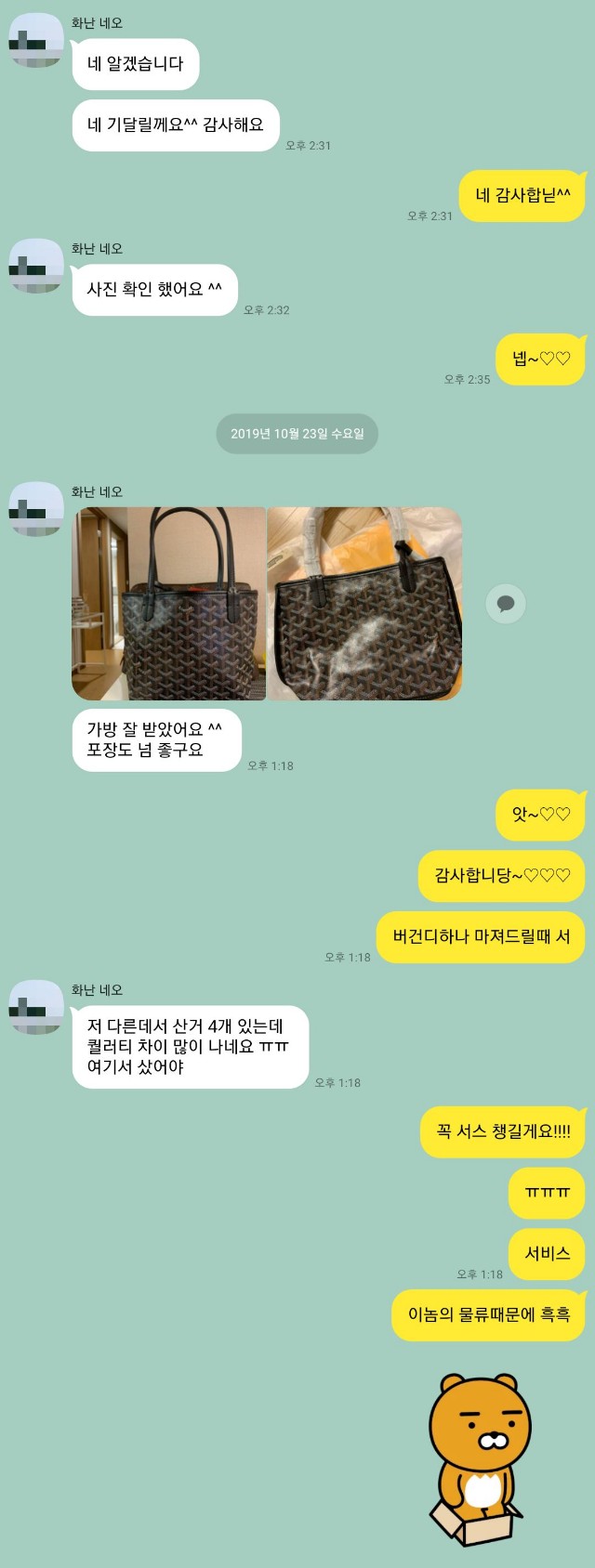 고야드가방