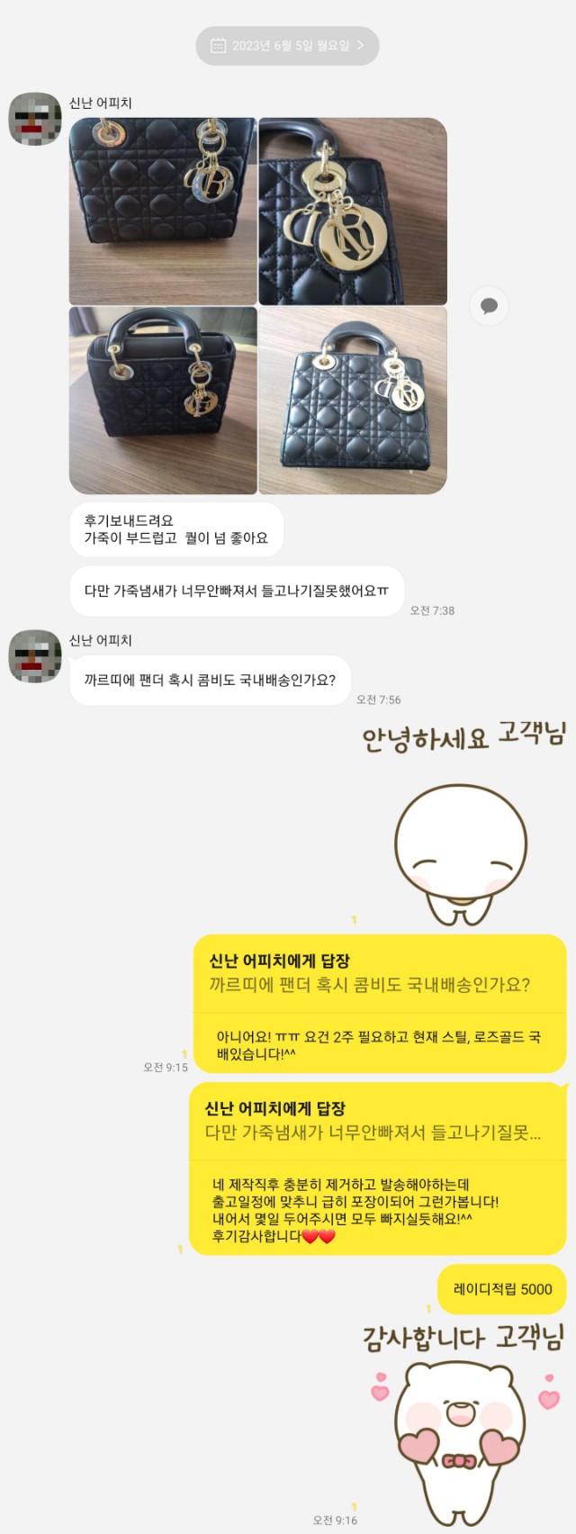 디올가방