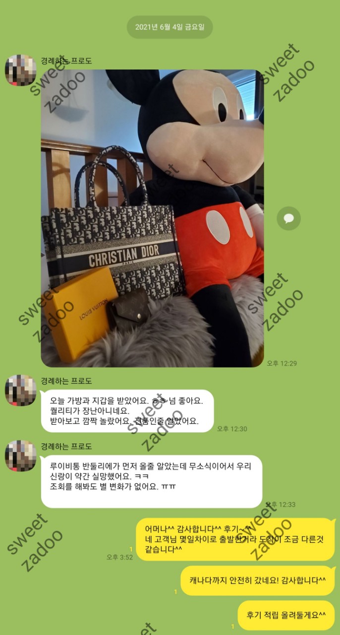 디올가방